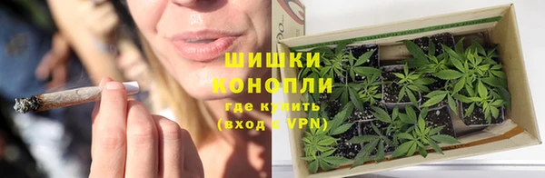 сатива Волосово