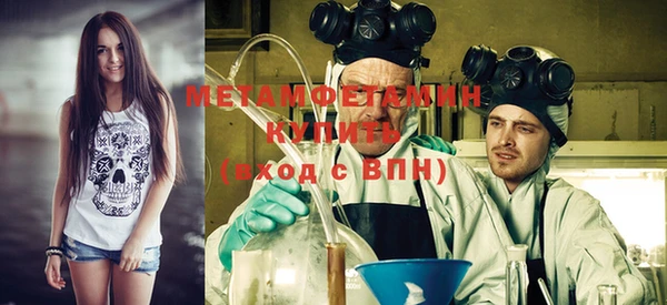 сатива Волосово