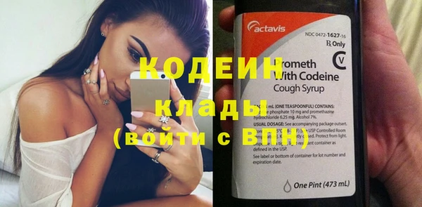 молекула духа Бородино